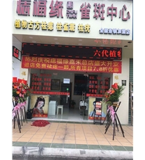 店面形象